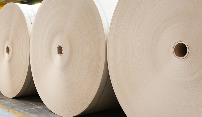 P+Serie PLA Coated Bamboo Paper